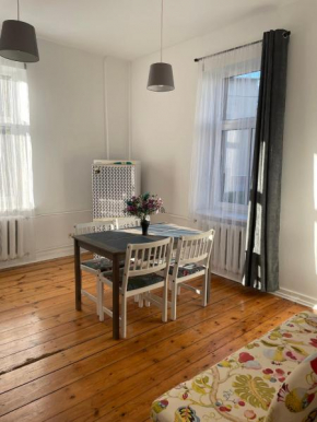 Spacious Ausekla apartment Liepāja